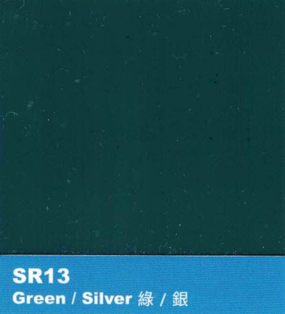 skylight-SR13_2